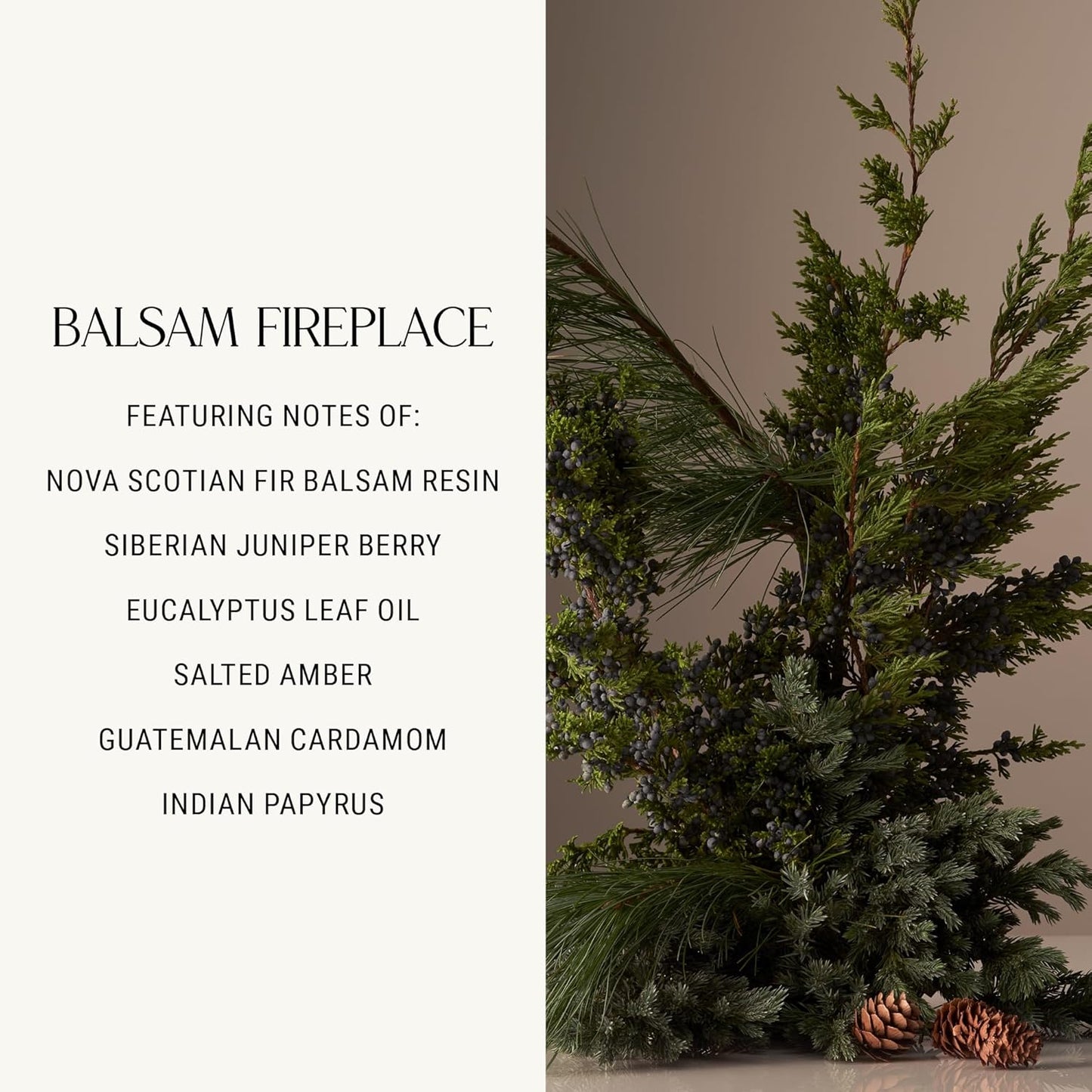 Homecourt Hand Cream, Non-Greasy Moisturizer for Hydrated, Nourished & Soft Hands, Dermatologist Tested, Clean Formula, Balsam Fireplace, 12 fl oz