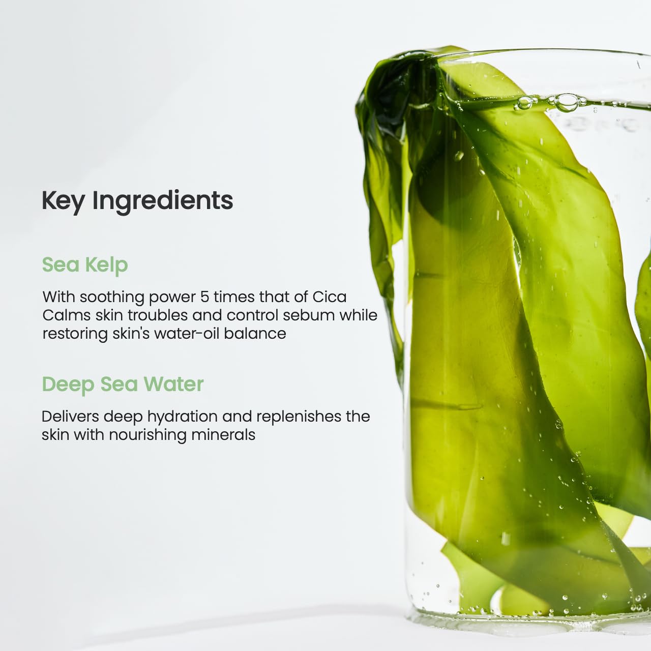 BIODANCE Refreshing Sea kelp Real Deep Mask, Overnight Hydrogel Mask, Calming, Oil & Sebum Control, Blemish Care, Korean Skincare | 1.19oz(34g) x 4ea - Glowelle