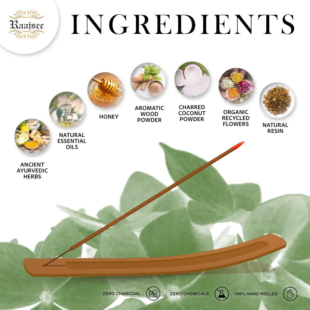 Raajsee Incense Sticks Eucalyptus 100 gm Pack-100% Pure Organic Natural Hand Rolled Free from Chemicals-Perfect for Church, Aromatherapy,Relaxation,Meditation,Positivity & Sensual Therapy - Glowelle