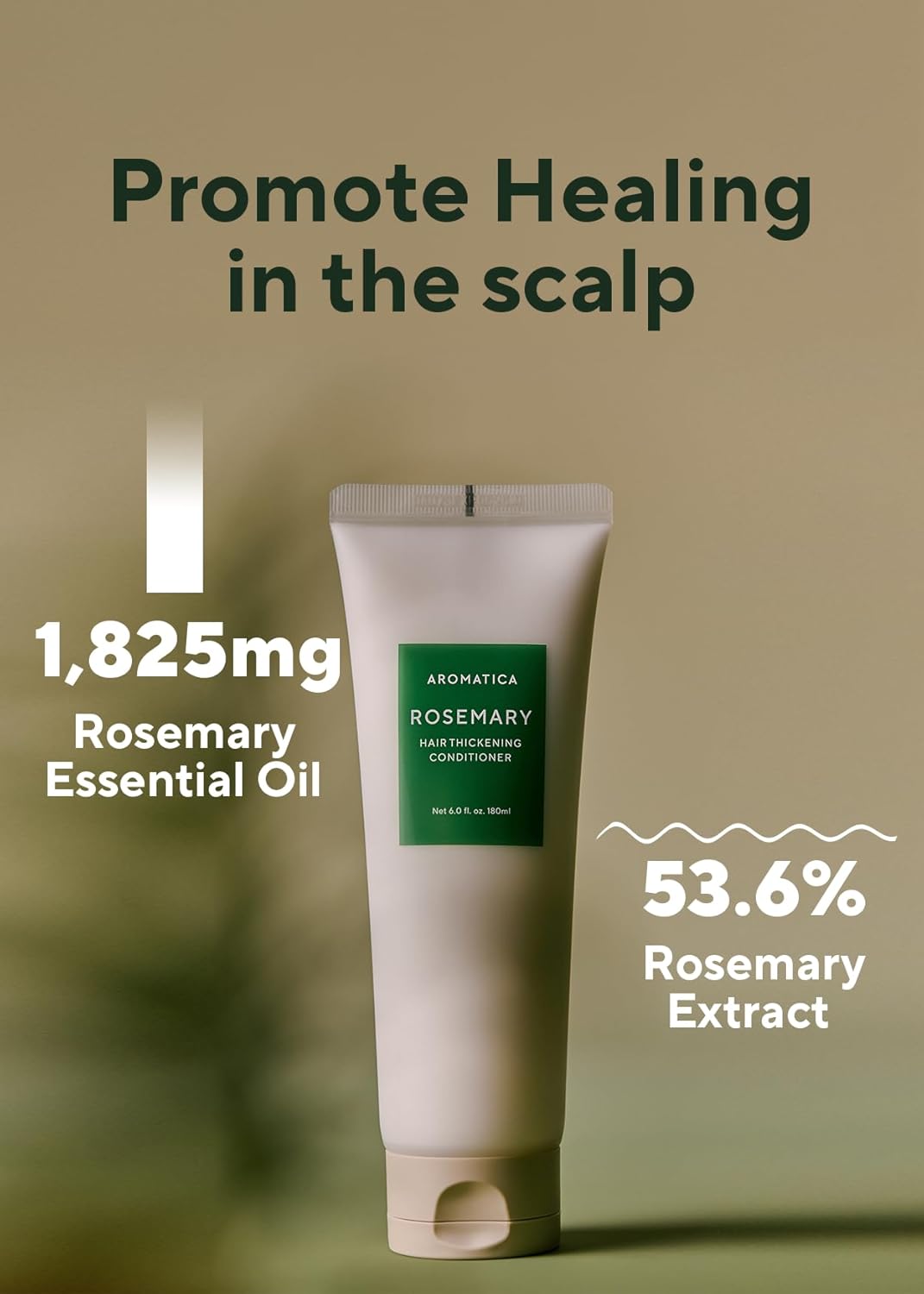 AROMATICA Rosemary Hair Thickening Conditioner, Korean Hair Care Vegan Natural Conditioner for Damaged Hair and Dry Hair - Moisturizing Non Toxic Hair Products for Men and Women (6.0 fl.oz)