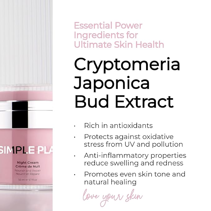 SIMPLE PLAN Night Cream – Restorative Hydrating Face Cream with Ceramides & Hyaluronic Acid | Anti-Aging Night Moisturizer for Face | Nourishing Facial Moisturizer for Women & Men – 50ml