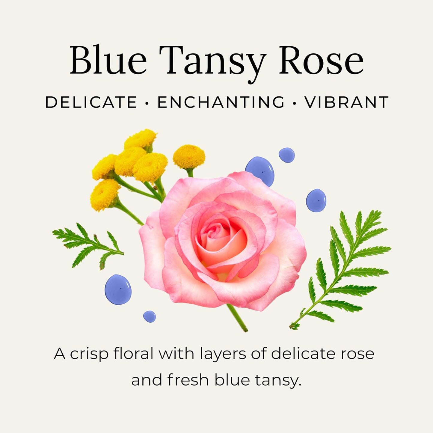 Little Seed Farm All Natural Deodorant Cream, Aluminum Free Deodorant for Women or Men - Blue Tansy Rose, Net Wt. 2.4oz | 68g