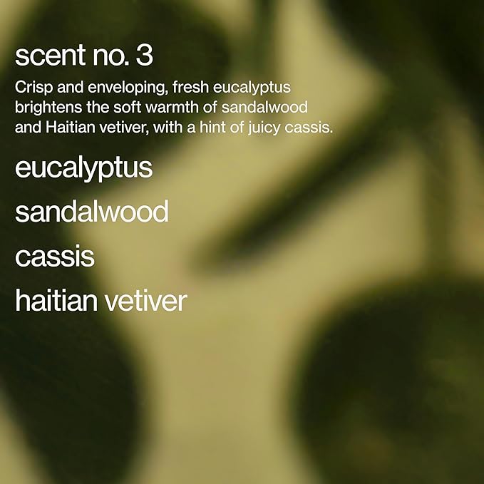 Maude Burn No. 3 - Hydrating + Skin-Softening Soybean + Jojoba Oil Massage Candle - Soothing Warm Massage Oil Candle with Notes of Eucalyptus + Sandalwood - Relaxing Self Care Gifts (4 oz)