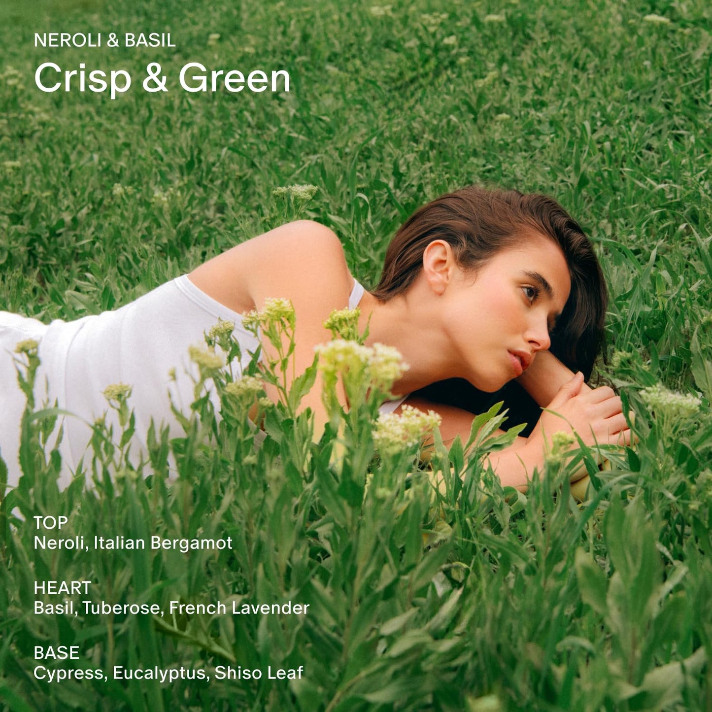 Salt & Stone Body Mist, Neroli & Basil Scent, Skincare Infused Perfume Hair & Body Spray for Women and Men, Hydrating Fragrance with Glycerin and Red Algae, Vegan, Cruelty Free, 3.4 fl oz - Glowelle