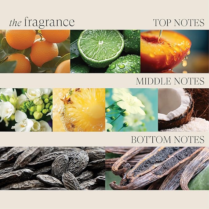 L'ANZA Healing Strength Silk Serum Strengthening Hair Treatment, Repairs Damage, UV & Heat Protection, Smooths Split Ends, Glossy Shine, Anti Humidity & Frizz, Color Safe, Sulfate Free, New Bottle