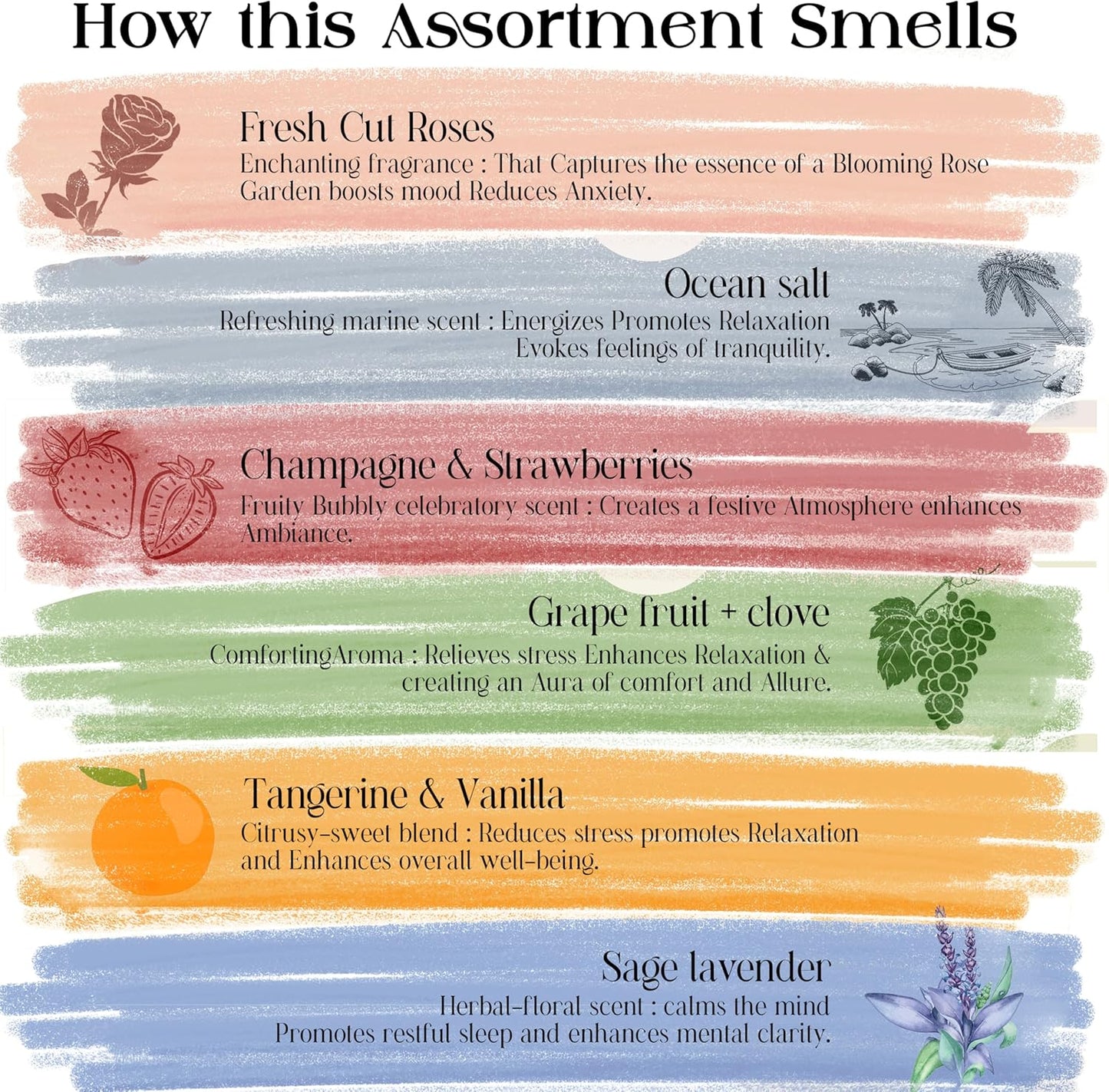 Raajsee Incense Sticks Natural, Set of 6 Organic Incents –120 Insence-Sticks with Holder– Aromatherapy Gifts, Non Toxic Clean Burning for Spiritual Cleansing – Ocean Salt, Grape Fruit Clove, Sage - Glowelle